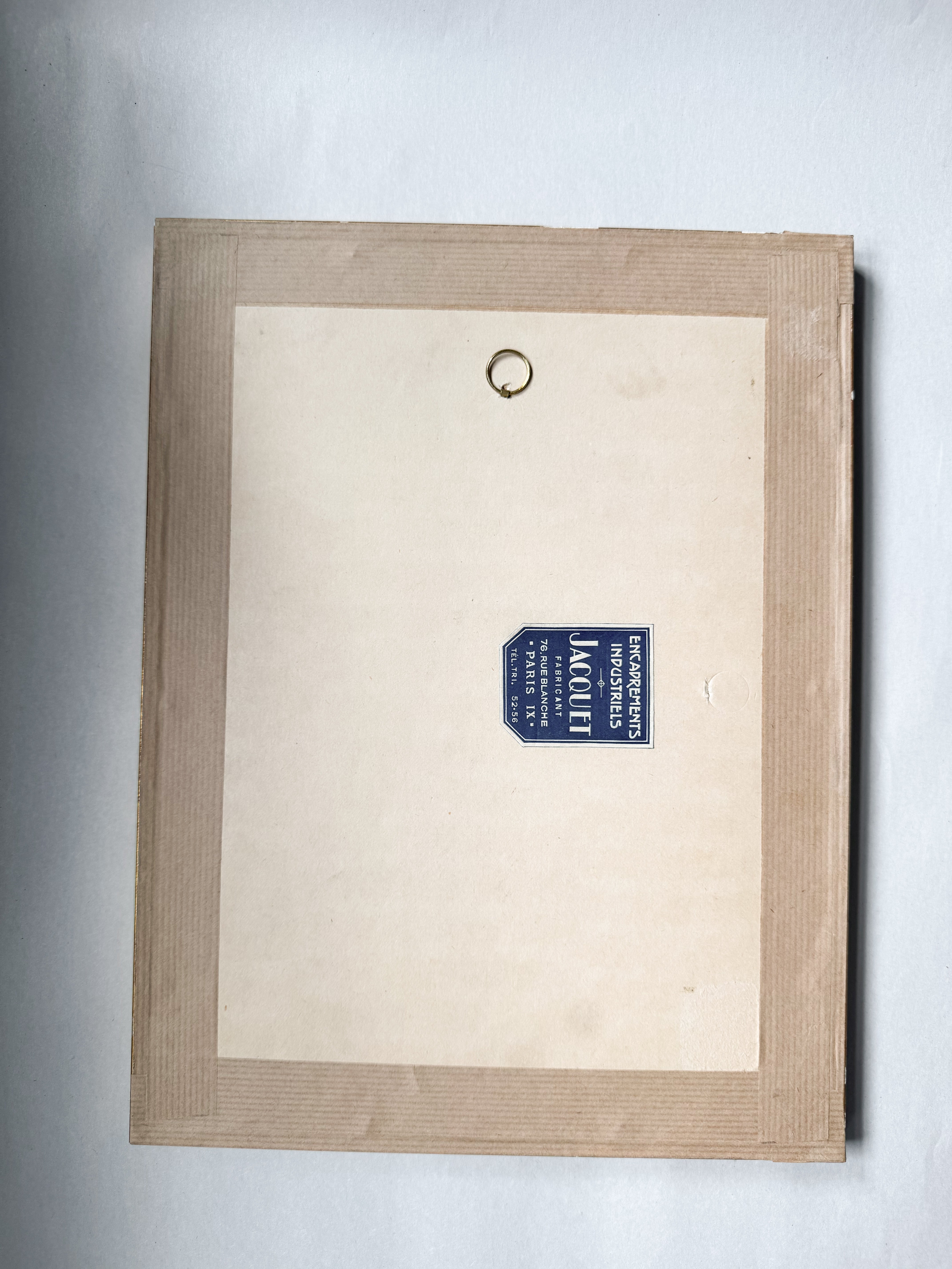 18th Century Zoological Engravings