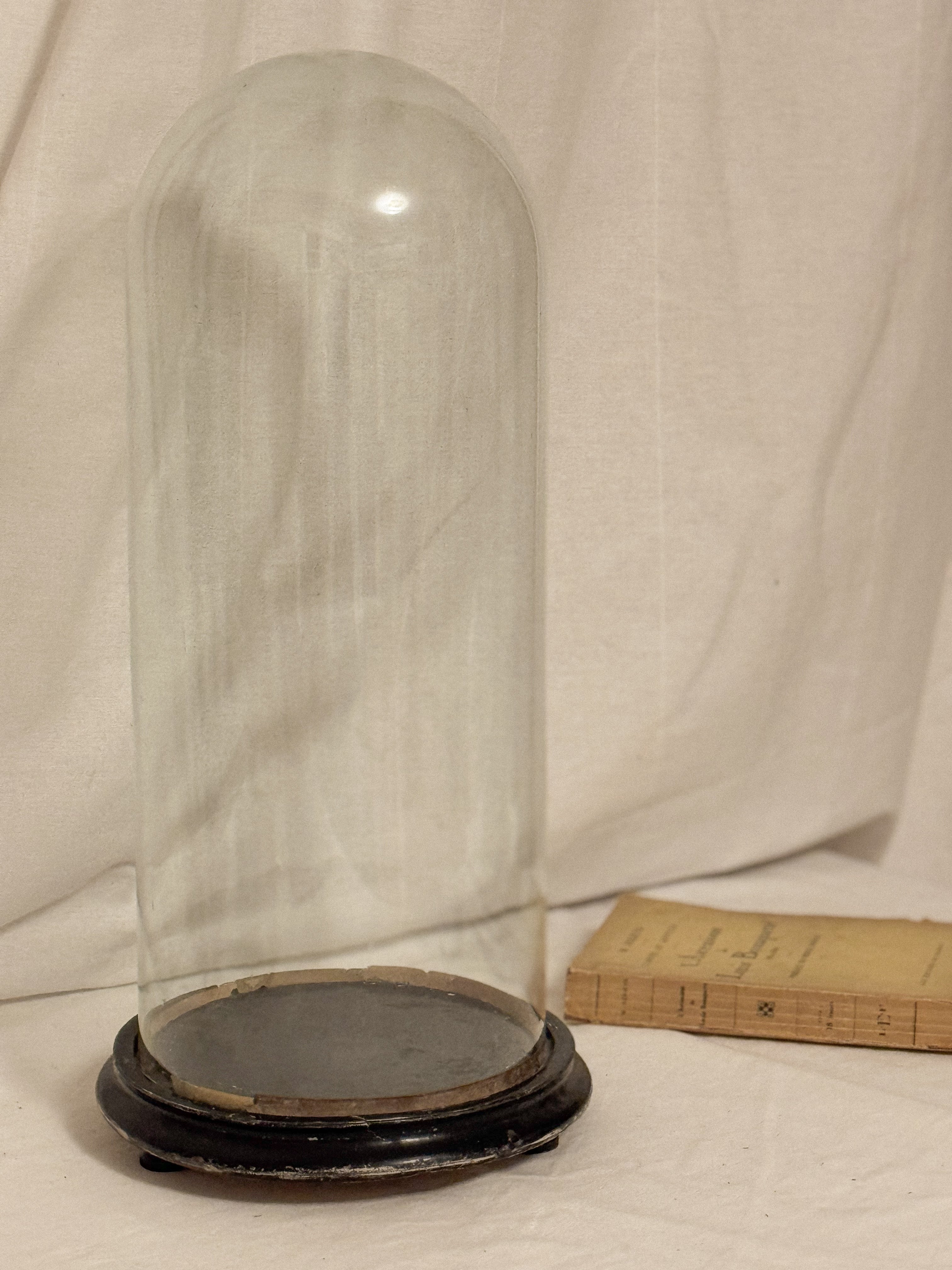 Antique French Glass Dome